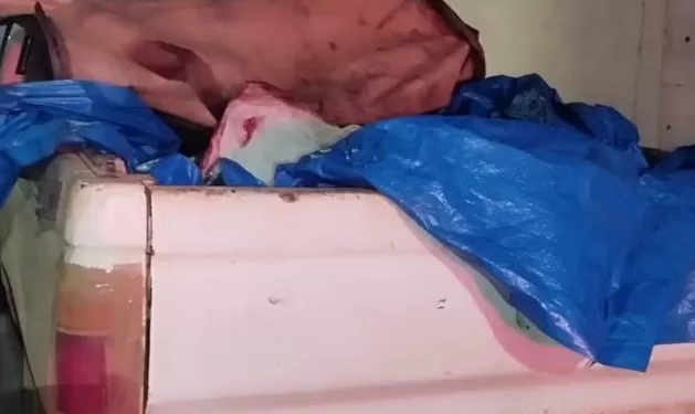 Trio é Preso em Montes Claros por Furto e Abate Ilegal de Gado