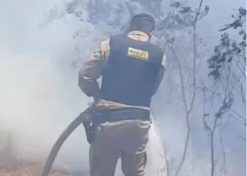 Incêndio em área de mata mobiliza PM, Defesa Civil e Bombeiros em São João do Paraíso