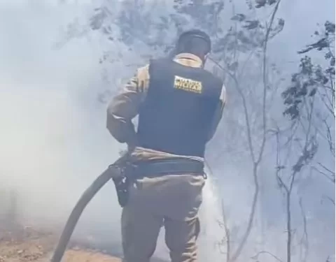 Incêndio em área de mata mobiliza PM, Defesa Civil e Bombeiros em São João do Paraíso